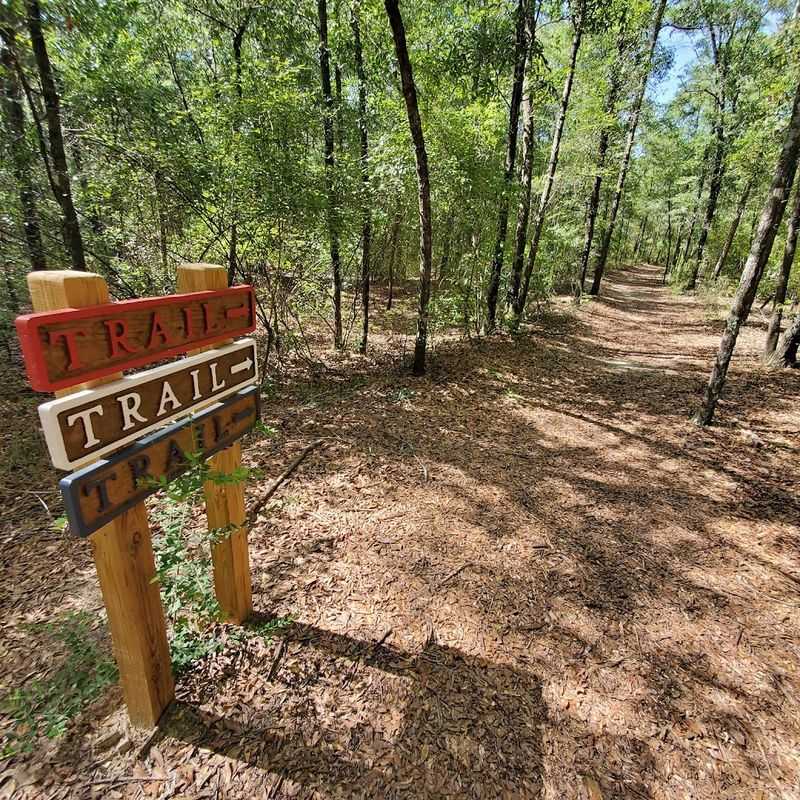 Short Hiking Trails That Anyone Can Handle