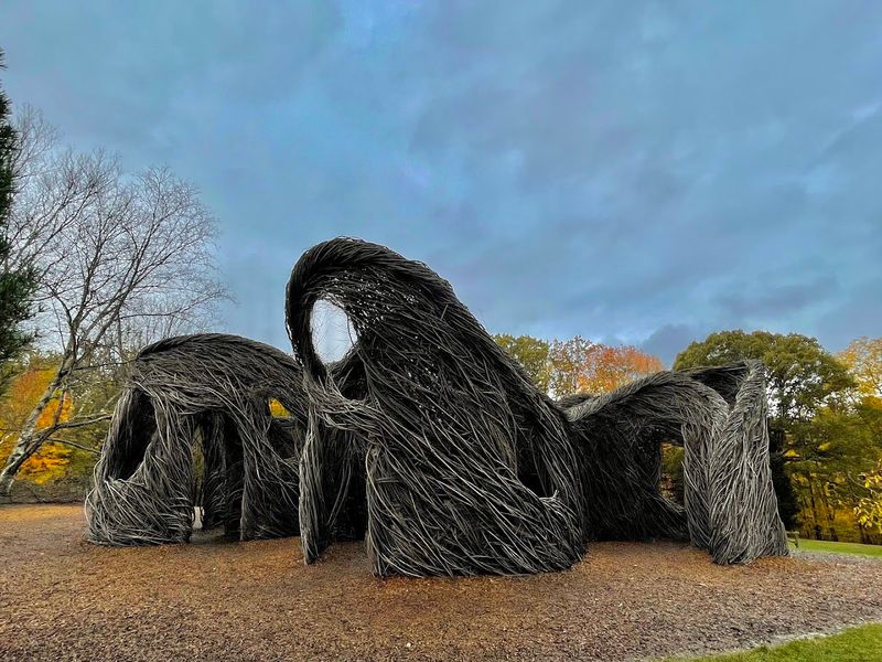 Skeleton Grove: Halloween Meets the Forest
