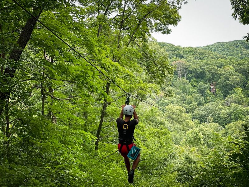 Sky Tour Zip Line for the Thrill Seekers