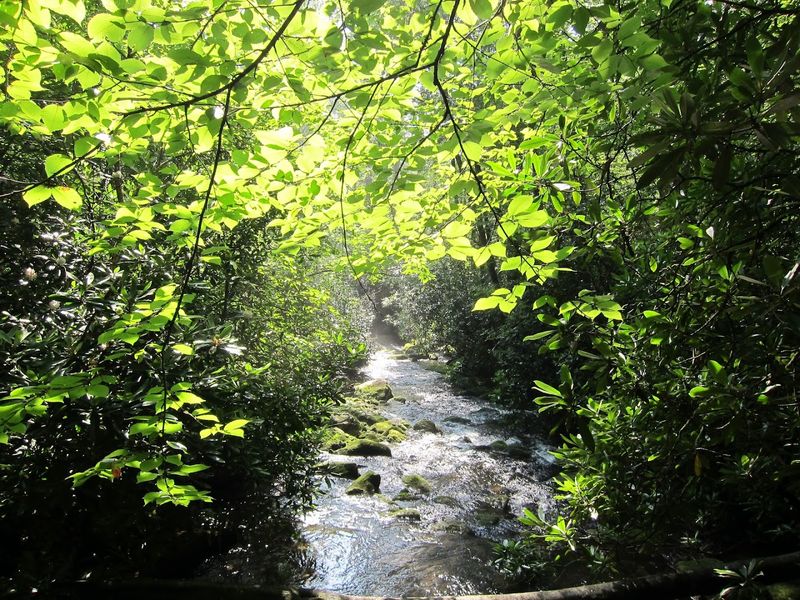 Slickrock Creek: A Wild and Rushing Waterway Slickrock Creek: A Wild and Rushing Waterway