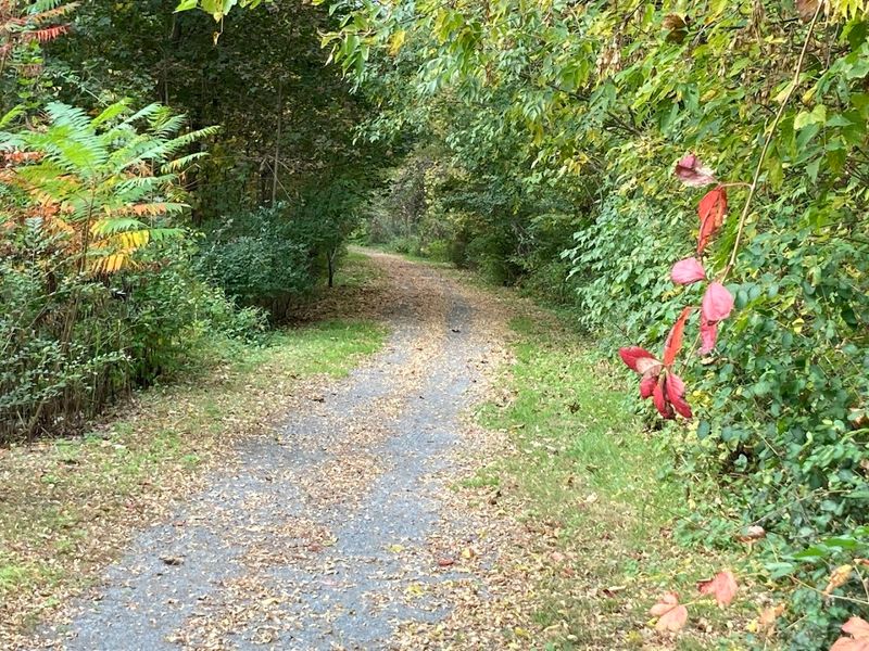Slower Pace of Life That Reduces Stress