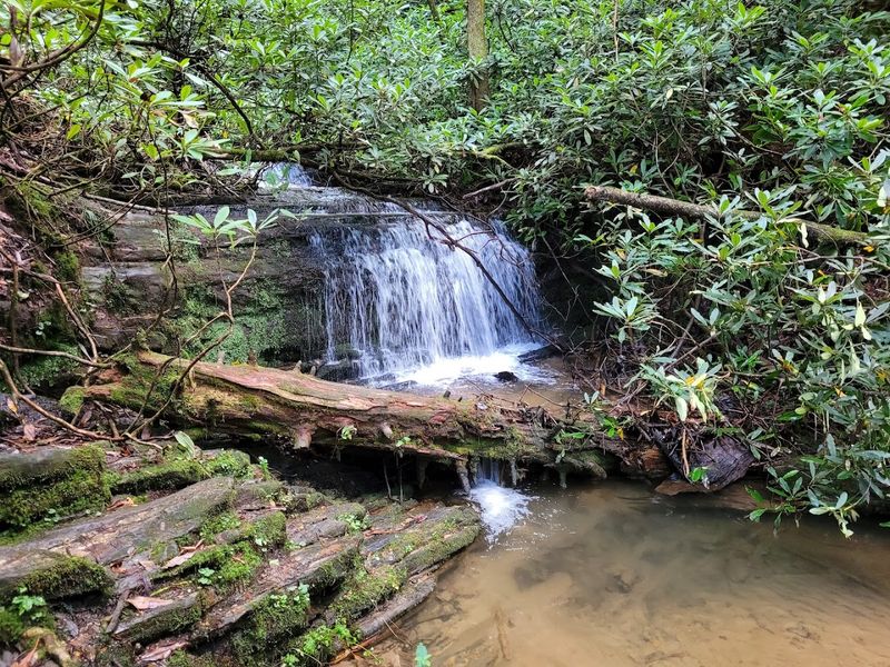 Smaller Waterfalls Along the Creek Before the Main Event Smaller Waterfalls Along the Creek Before the Main Event