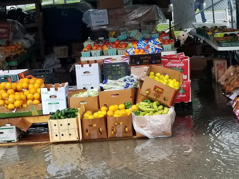 Snack Bars and Food Options Fuel Your Shopping Marathon