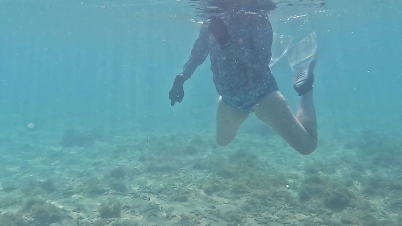 Snorkeling Around the Fort's Underwater World Snorkeling Around the Fort's Underwater World