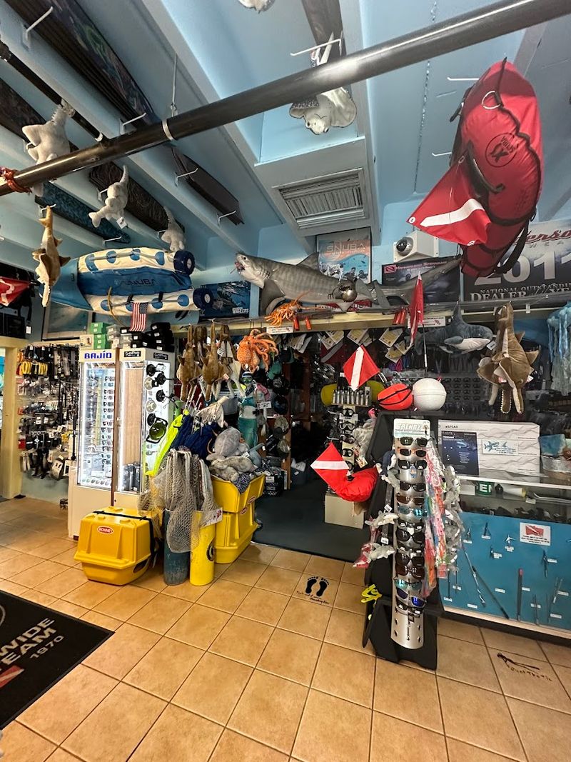 Snorkeling Tours and Gear Rentals