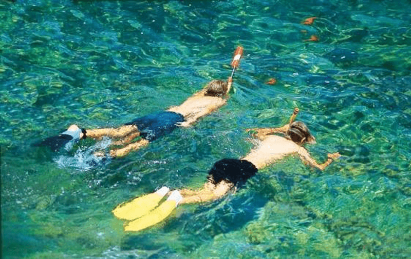 Snorkeling and Semi-Submarine Adventures