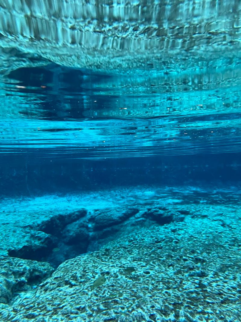 Snorkeling for Shells and Underwater Surprises
