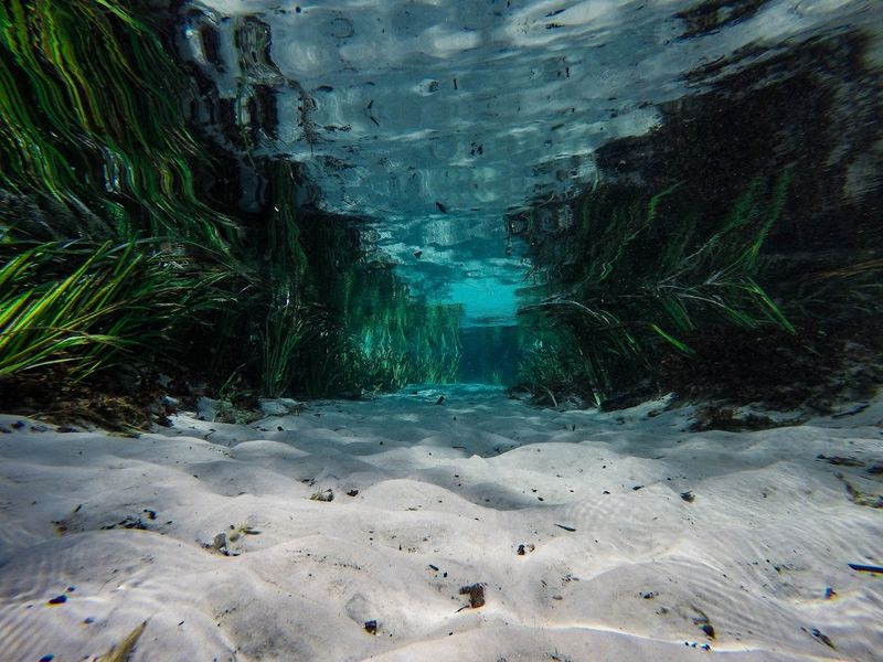 Snorkeling in a Natural Underwater Wonderland