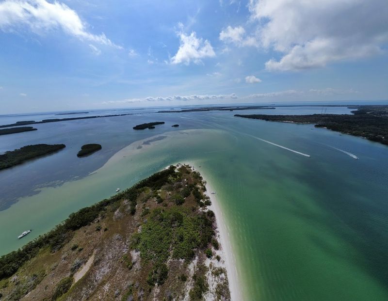 Snorkeling in the Clear Gulf Waters