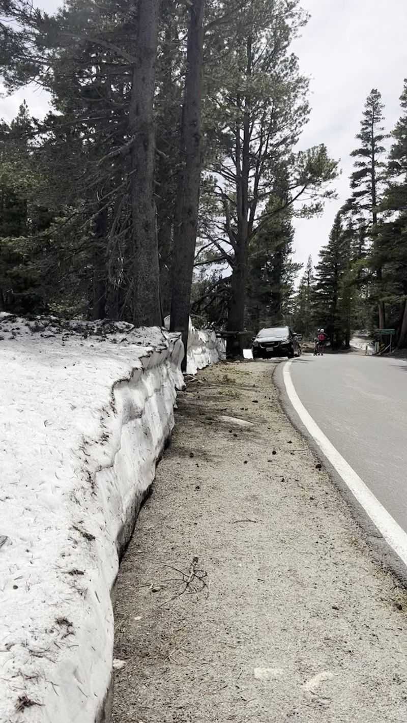 Snow Play at the Summit in Early Summer