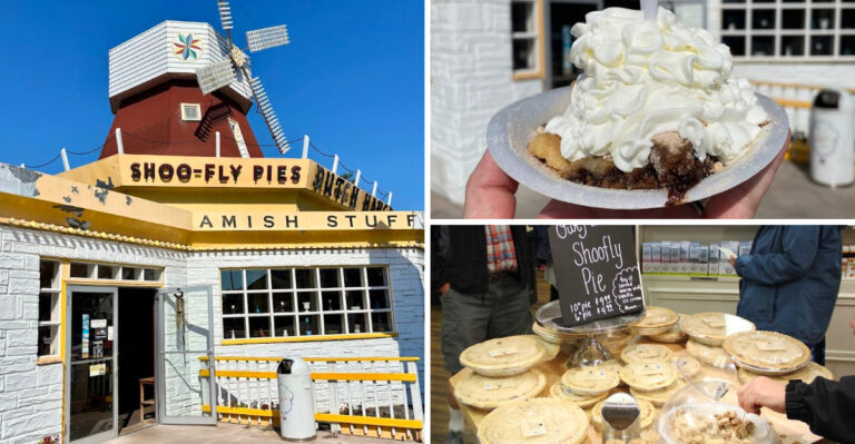 Some Of America’s Best Shoofly Pies Come From This Quirky Pennsylvania Bakery