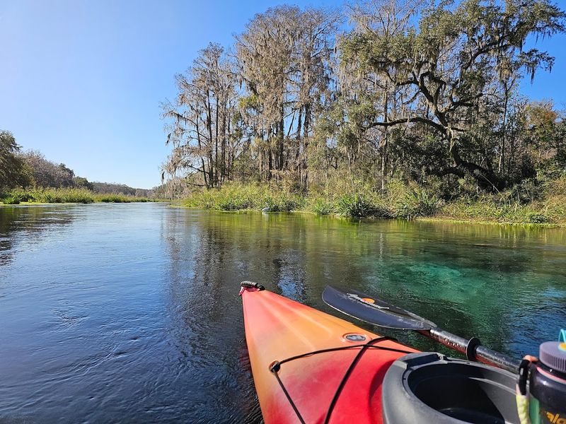 Special Guided Paddles Including Sunset and Moonlit River Experiences