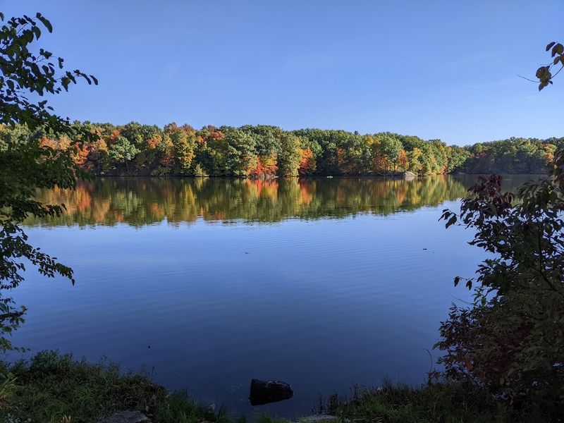 Spectacular Fall Foliage That Feels Like Magic