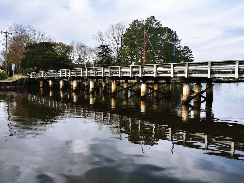 Spot Wildlife at the Nearby Marshes and Wetlands