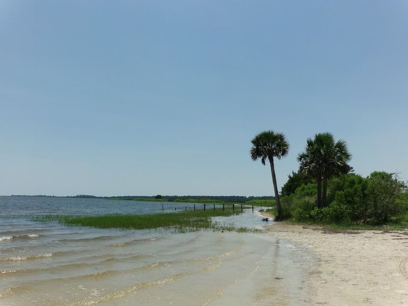 St. Marks National Wildlife Refuge - St. Marks, Florida St. Marks National Wildlife Refuge - St. Marks, Florida