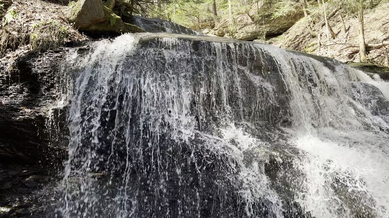 Staircase Down to the Falls: Steps Worth Taking Staircase Down to the Falls: Steps Worth Taking