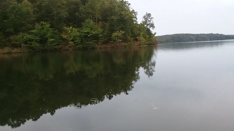 Stargazing Under Tennessee's Dark Skies