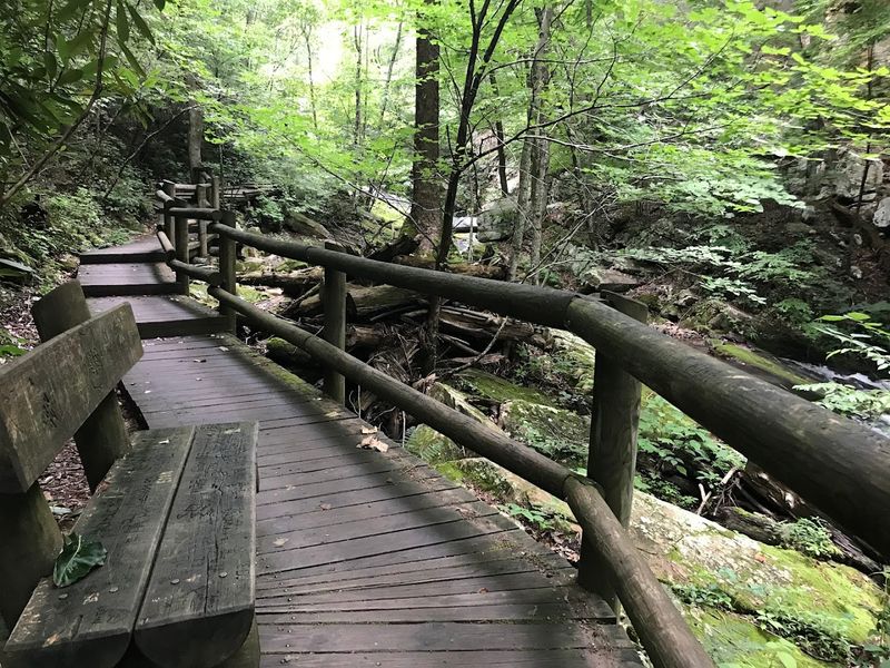 Streamside Trail: Walking Beside Living Water Streamside Trail: Walking Beside Living Water