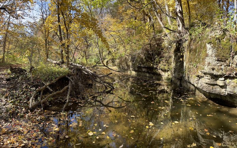 Stunning Fall Foliage That Rivals Any Destination