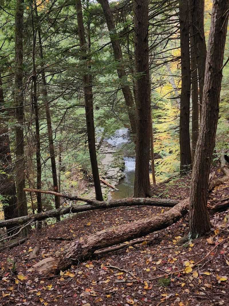 Stunning Fall Foliage That Rivals Any New England Destination