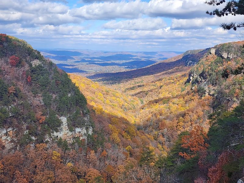 Stunning Fall Foliage That Transforms the Entire Park