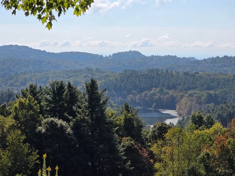 Stunning Fall Foliage Views