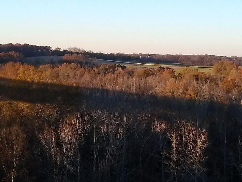 Stunning Fall Foliage Views Stunning Fall Foliage Views