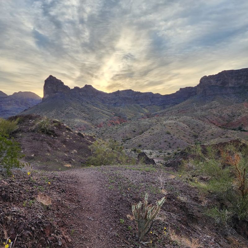 Stunning Hiking Trails with Mountain Views