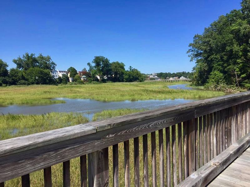 Stunning Marsh and Water Overlooks
