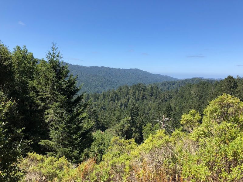 Stunning Scenic Drive Through the Santa Cruz Mountains