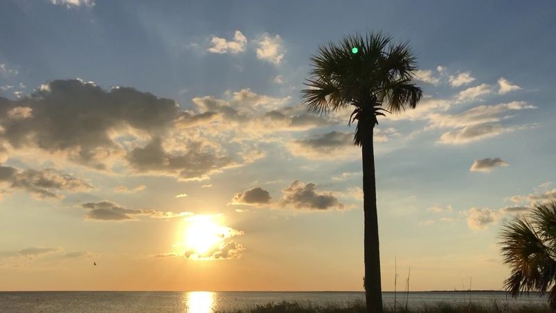 Stunning Sunsets That Stop You In Your Tracks