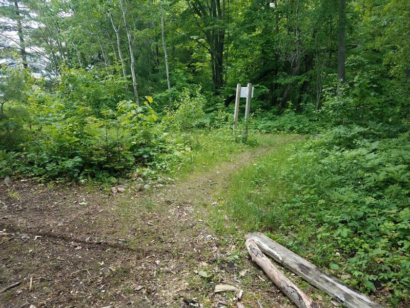 Supporting the Park Through Friends of Negwegon
