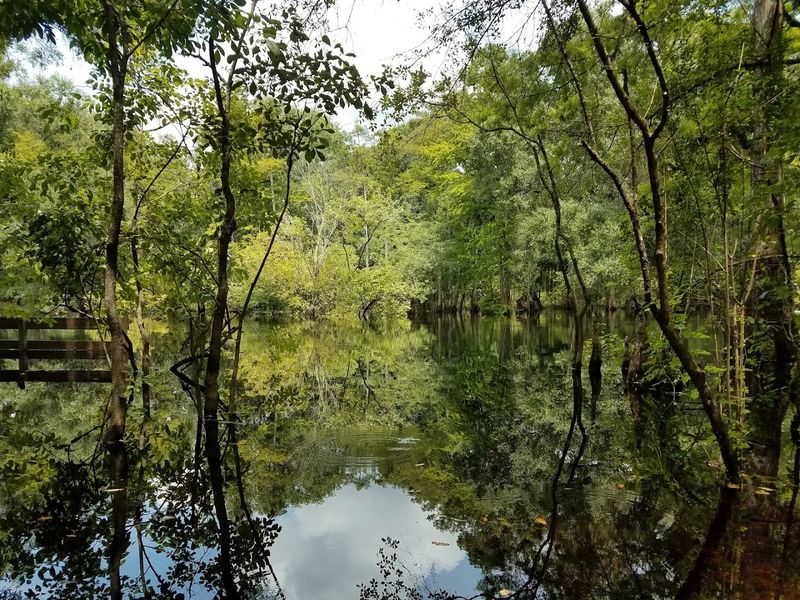 Surrounded By Florida's Natural Beauty Surrounded By Florida's Natural Beauty