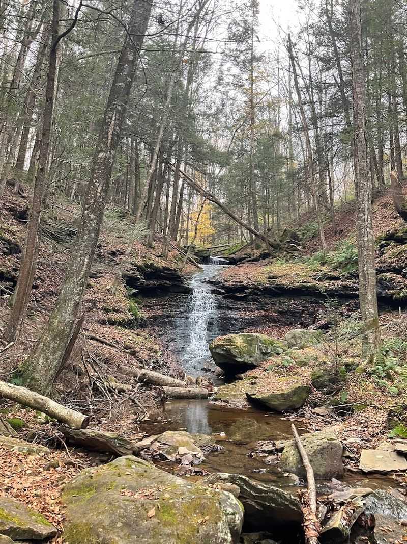 Surrounded by State Forest Land