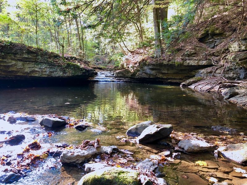 Swimming Holes and Creek Exploration: Off-Trail Bonuses Swimming Holes and Creek Exploration: Off-Trail Bonuses