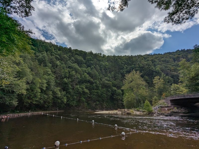 Swimming and Picnicking: Summer Fun the Old-Fashioned Way