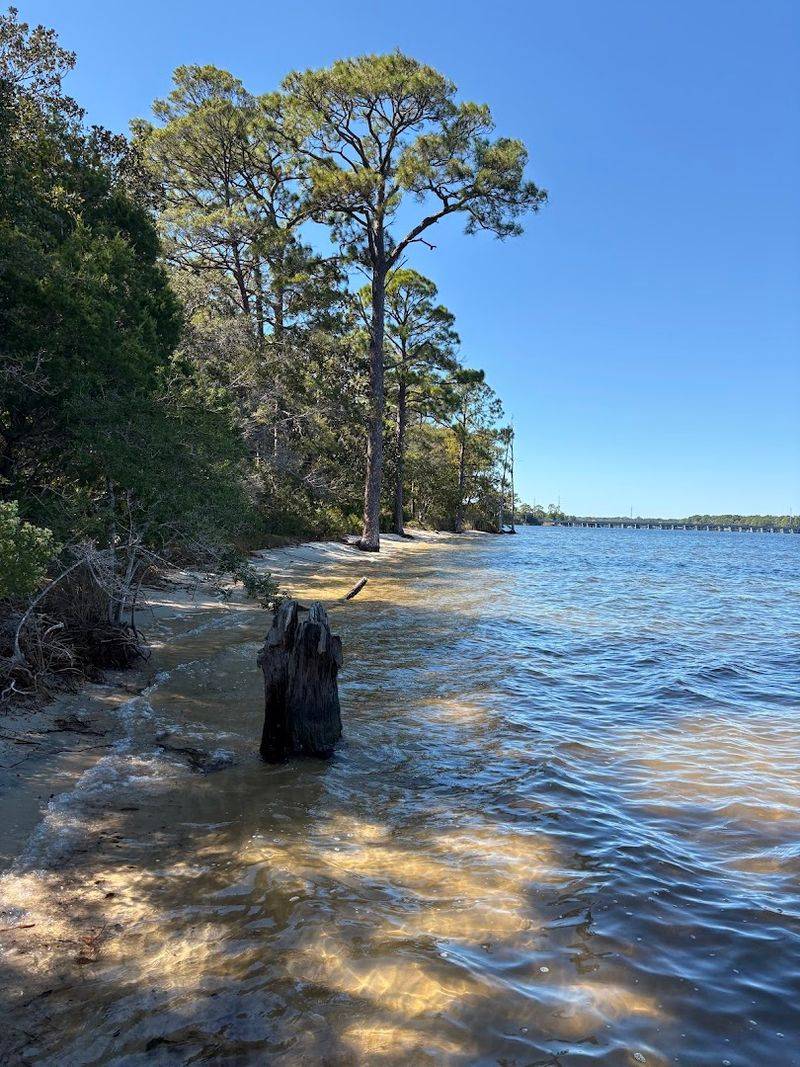 Swimming and Wading Access Along the Bayou Shore