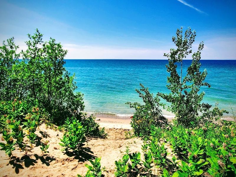 Swimming in Crystal-Clear Lake Michigan Water