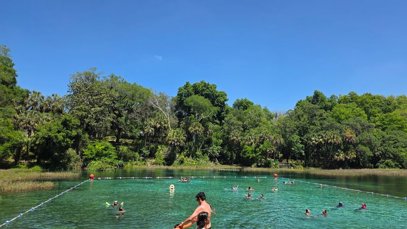 Swimming in One of Florida's Most Stunning Natural Springs Swimming in One of Florida's Most Stunning Natural Springs