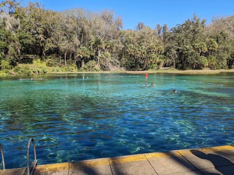 Swimming in the Refreshing Natural Spring Pool