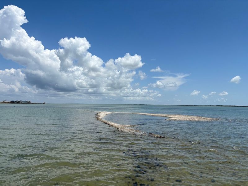 Swimming in the Shallow, Warm Waters of the Bay Swimming in the Shallow, Warm Waters of the Bay