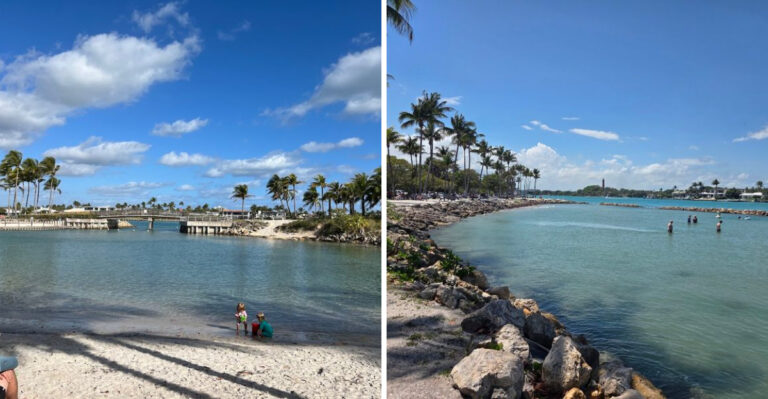 Take The Whole Family To Discover The Natural Beauty Of Florida’s Overlooked DuBois Park