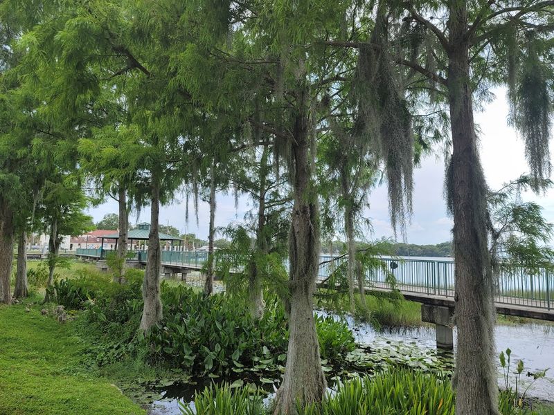 Take a Scenic Drive Along Lake County's Citrus Roads