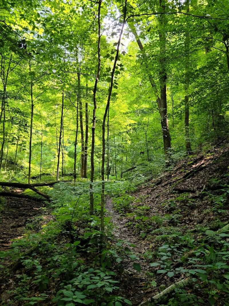 Tar Hollow State Park - Laurelville, Ohio