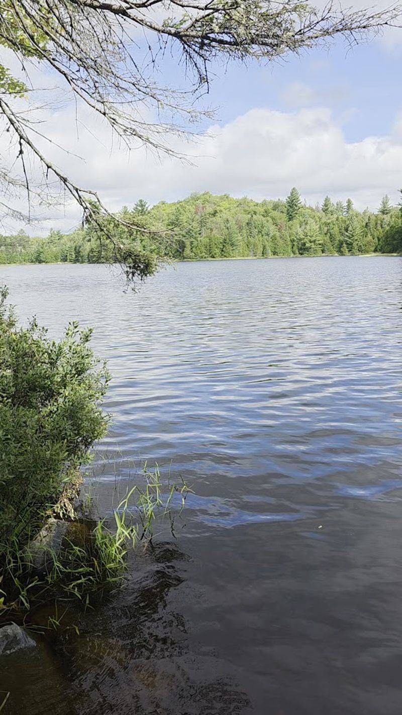 Teddy Lake: A Hidden Gem Worth the Hike