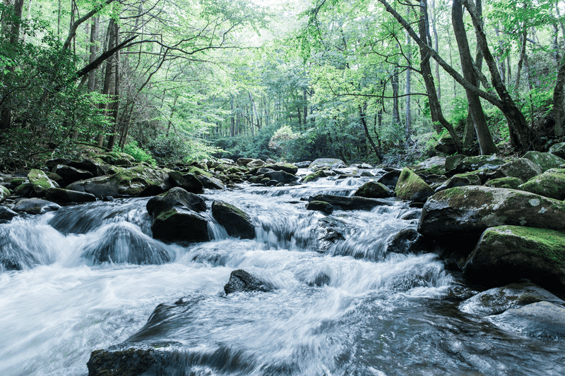 Tellico Plains, Tennessee