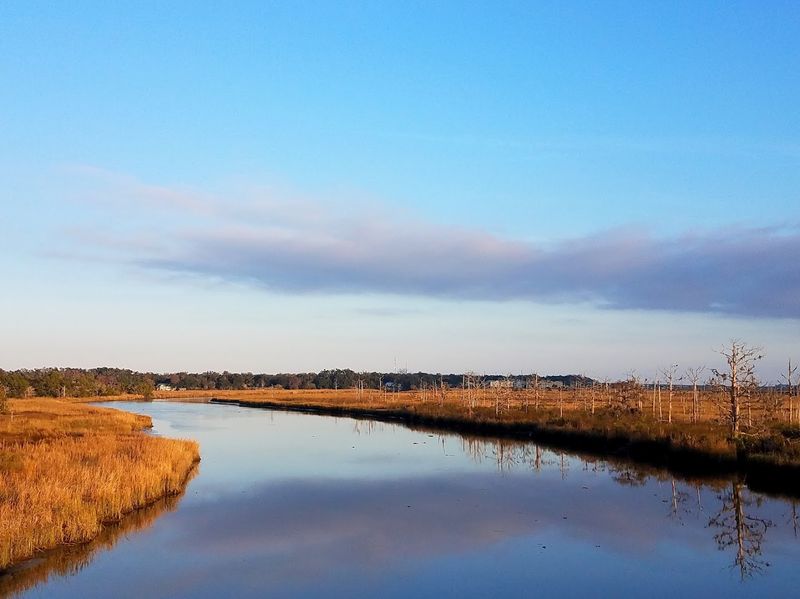 The Altamaha River Waterfront Views