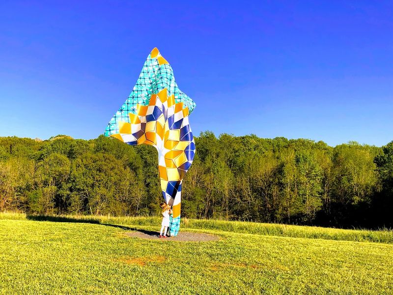 The Amphitheater and Community Events Scene