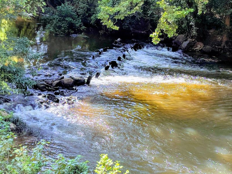 The Appomattox River Trail