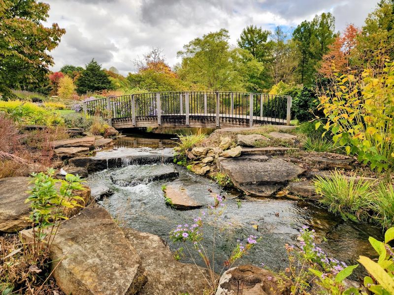 The Arboretum's Fascinating History and Origins